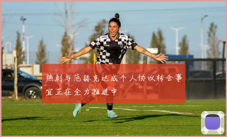 热刺与范赫克达成个人协议转会事宜正在全力推进中