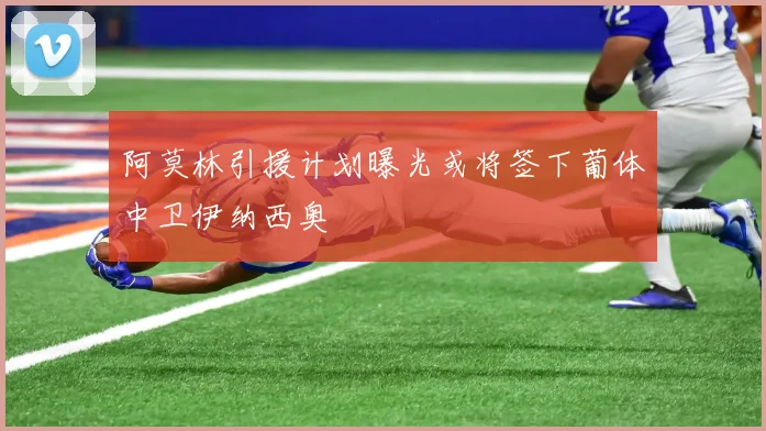 阿莫林引援计划曝光或将签下葡体中卫伊纳西奥